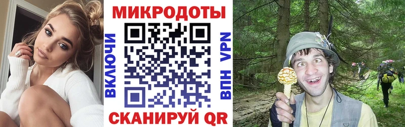 Купить  Медногорск  Псилоцибиновые грибы Cubensis 